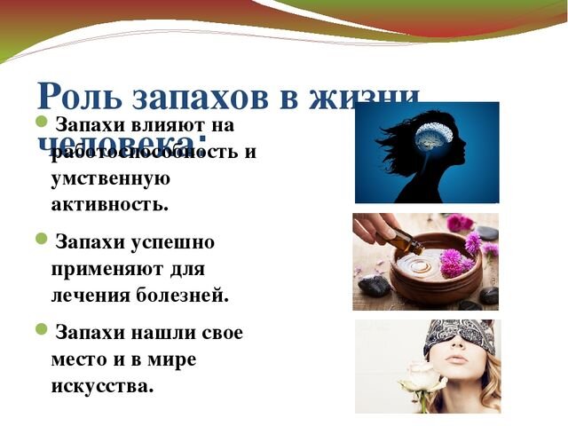 Найти пахнуть. Роль запахов в жизни человека. Воздействие запахов на организм человека. Влияние ароматов на организм человека. Влияние запахов на человека презентация.