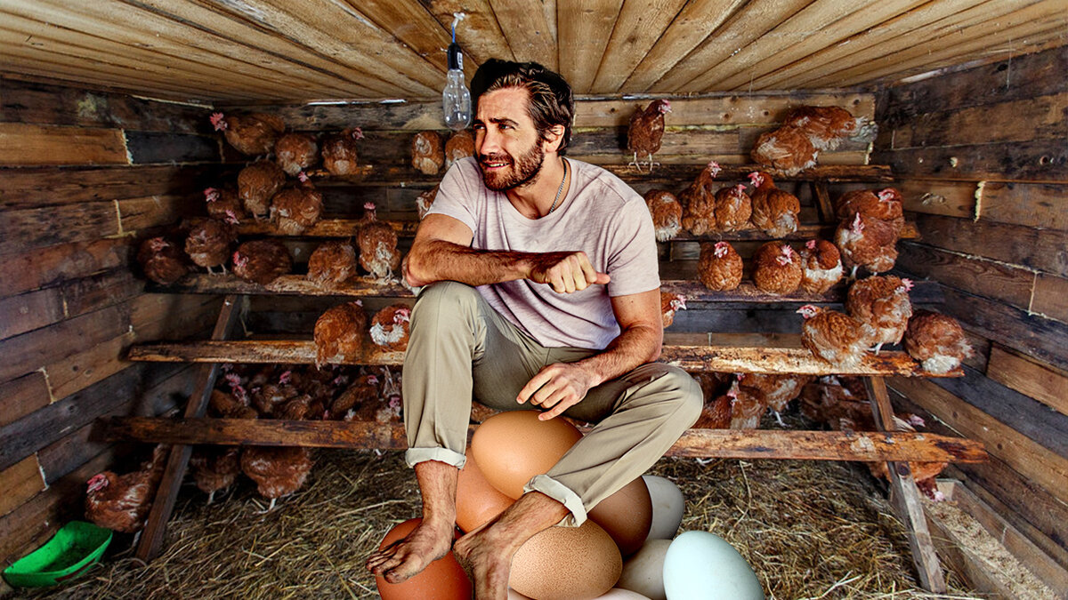 (картинка предоставлена Яндексом)