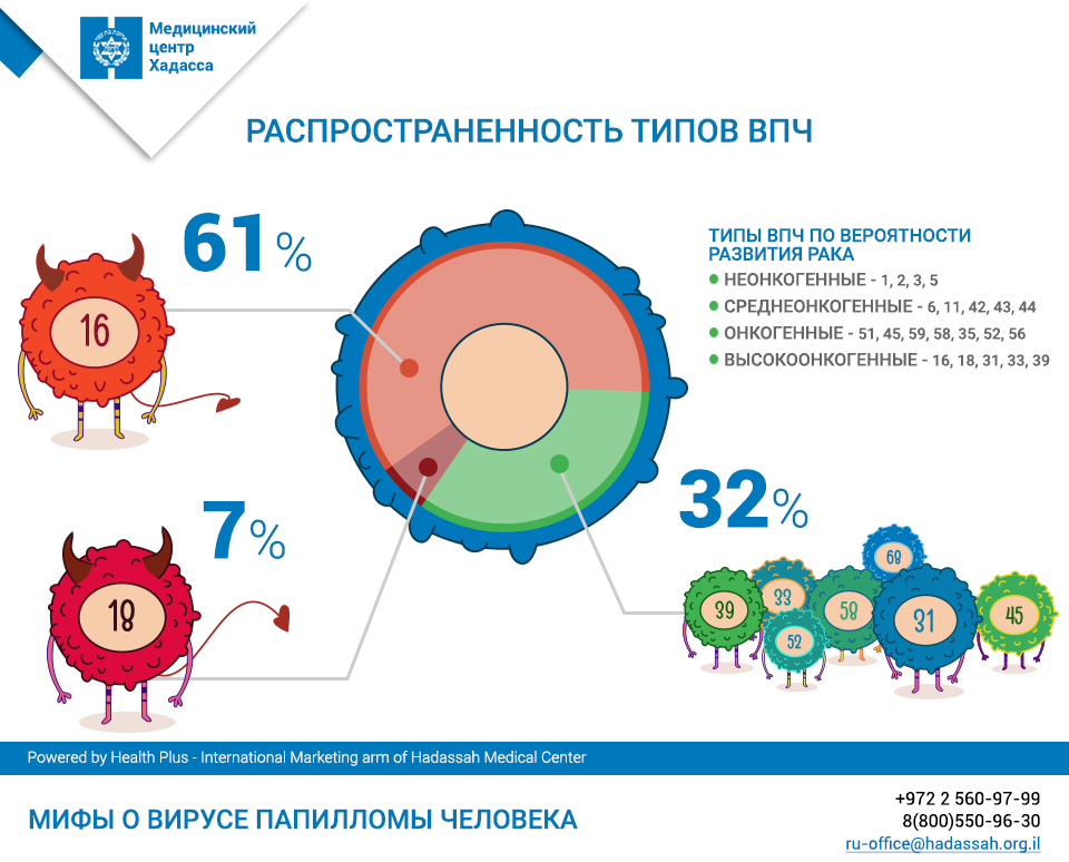 Папиллома человека 16 18 тип. ВПЧ самые распространенные типы. Распространенность ВПЧ.