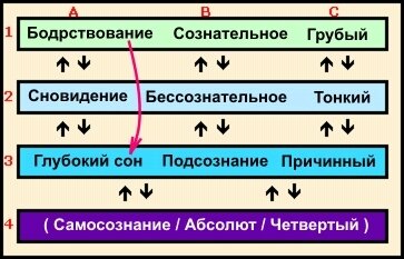 Йога Нидра означает Йогический Сон. Это состояние сознательного Глубокого Сна. В медитации вы остаетесь в Бодрствующем состоянии сознания и мягко сосредотачиваете ум, одновременно позволяя шаблонам мышления, эмоциям, ощущениям и образам проявиться и уйти. Однако в Йога-Нидре вы выходите из состояния Бодрствования, проходите мимо состояния Сновидения и переходите в Глубокий Сон, оставаясь бодрствующим. В то время как Йога Нидра является очень расслабляющим состоянием, Йогины также используют ее для очищения Самскар, глубоких впечатлений, которые являются движущей силой Кармы (см. Статью Карма).