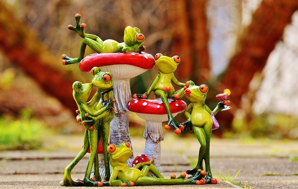 Фото:pixabay.com