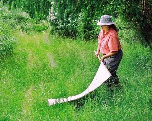 Для обнаружения клещей на участке используют белое полотно (вафельное полотенце)