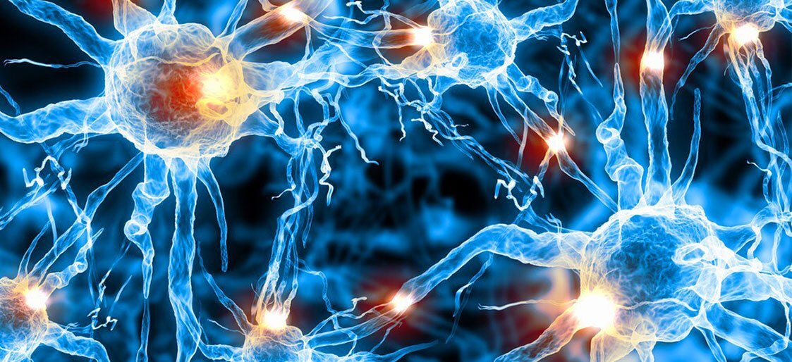 ...передача информации в мозг 