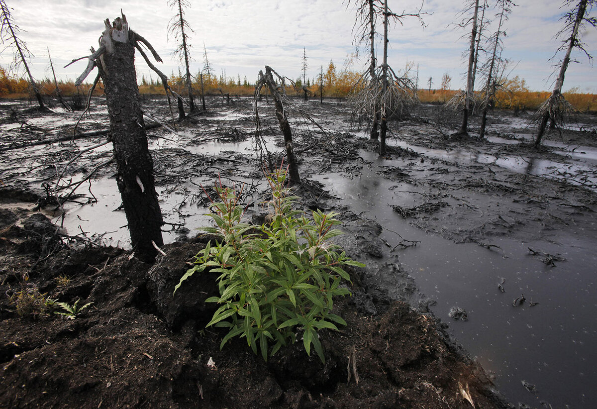 Фото: eventsinrussia.com 