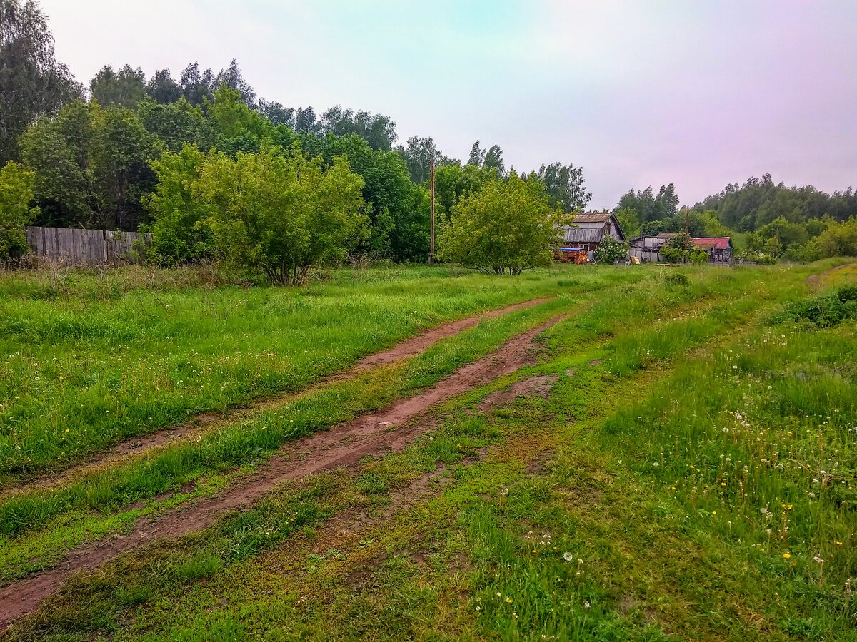 фото улица лесная киндери