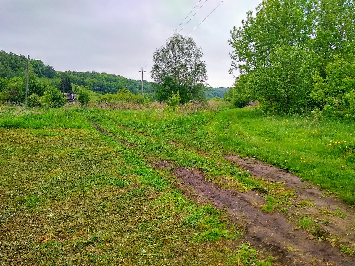 Деревня Лопата в Ульяновской области. Фотографии красивейшей природы. |  Заметки на полях | Дзен