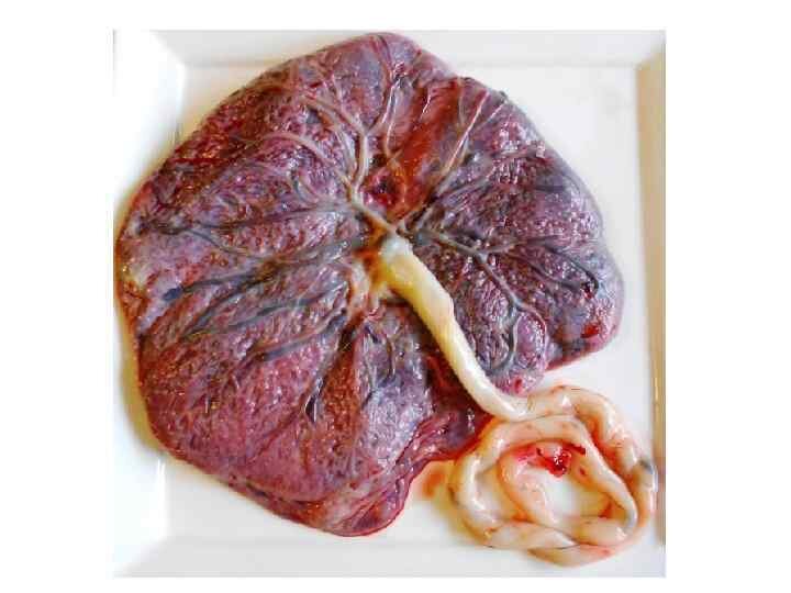 Для кого-то это может быть умилительным?