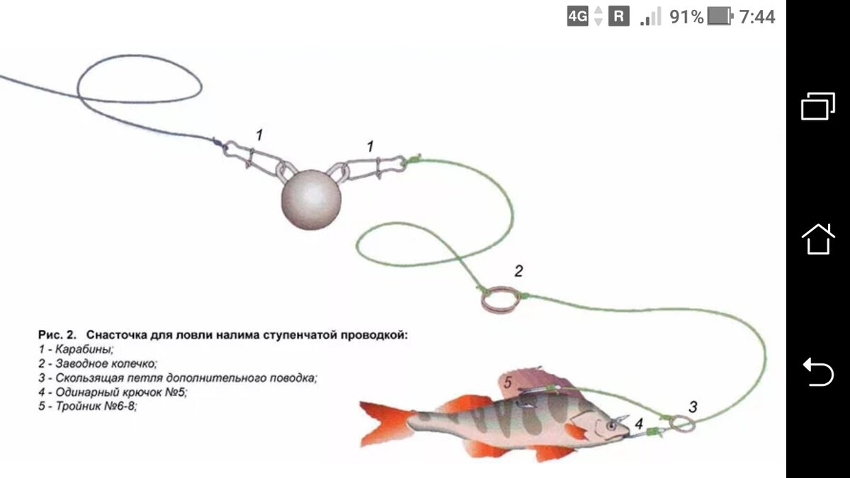 Чебурашка для ловли щуки на живца + ступенчатой проводкой | Фото заметки из  моей жизни в Крым | Дзен