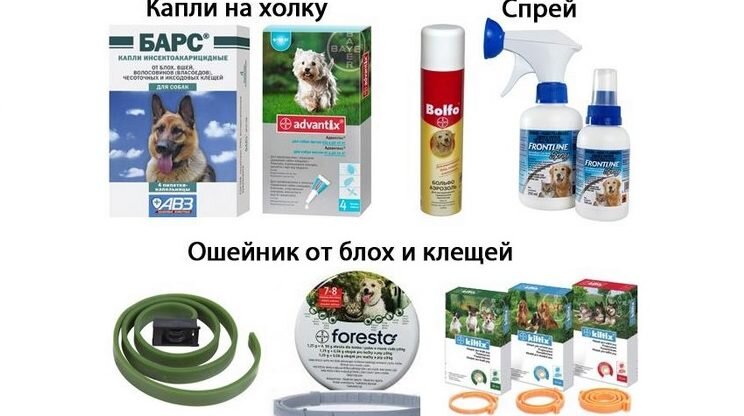 Противоблошиные препараты.