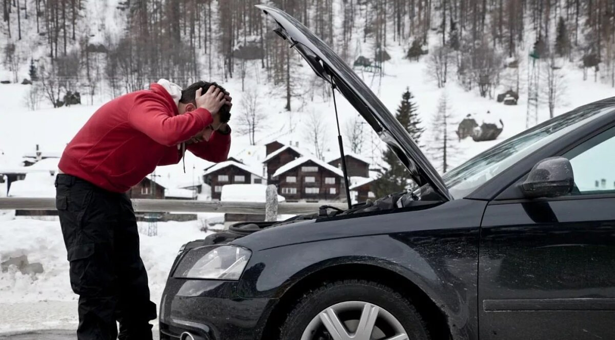 Источник фото: Яндекс Картинки