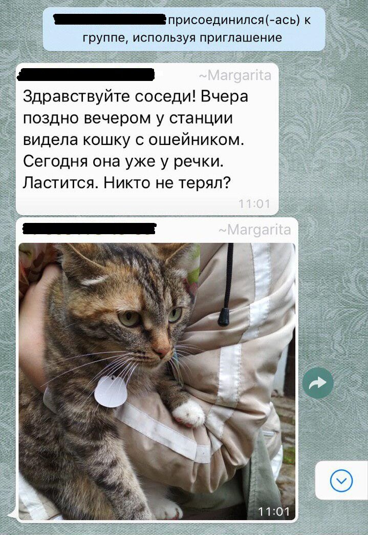 Не терял!