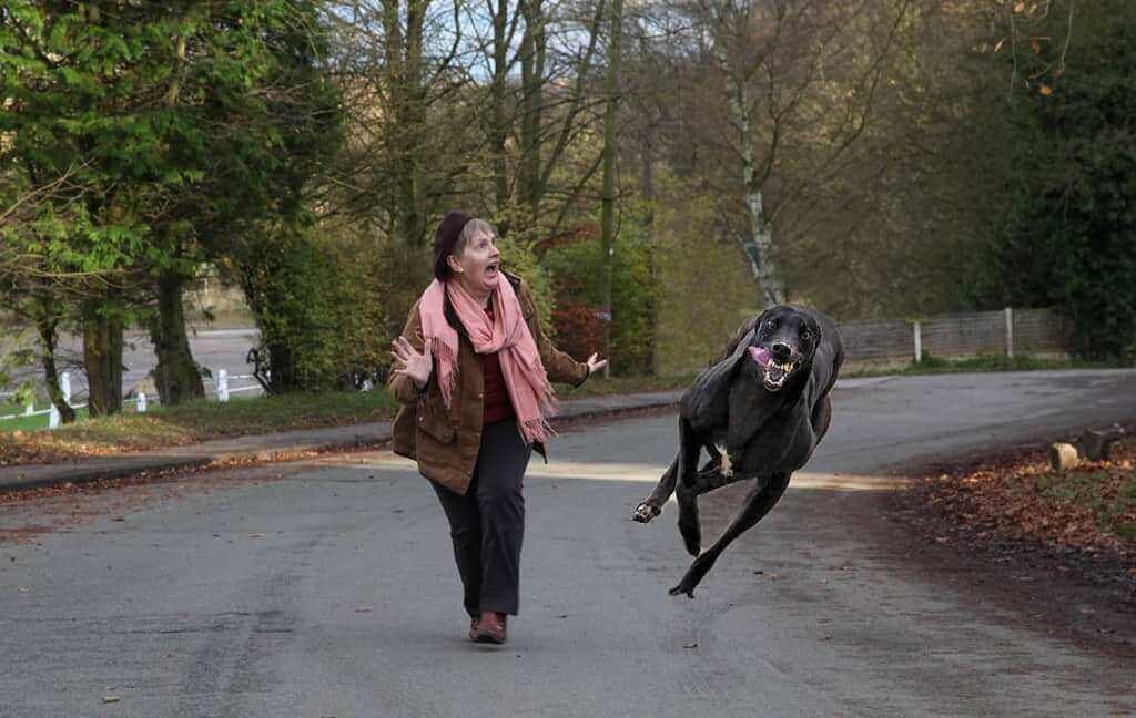 Источник: ukrnews24.net