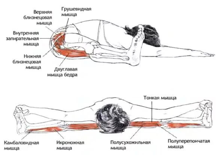Схема для определения ваших «слабых» мышц