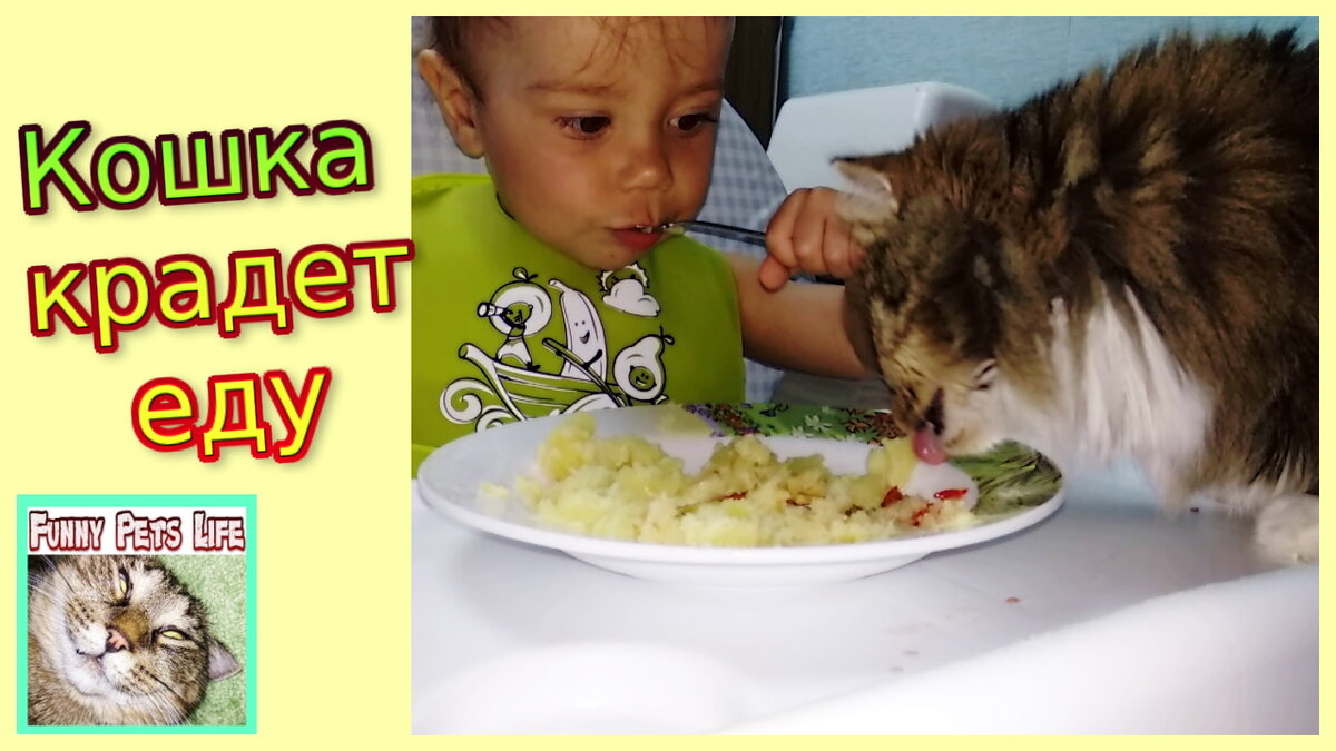 Вместе вкуснее))