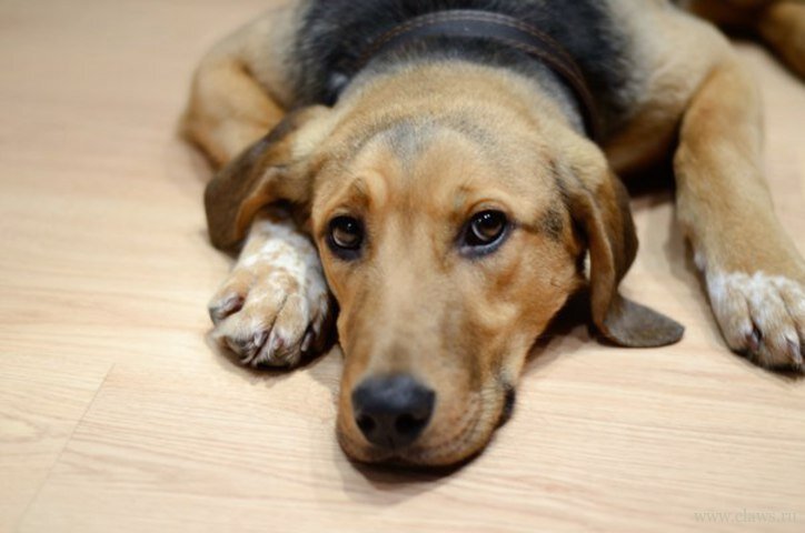 Фото из яндекс-картинок