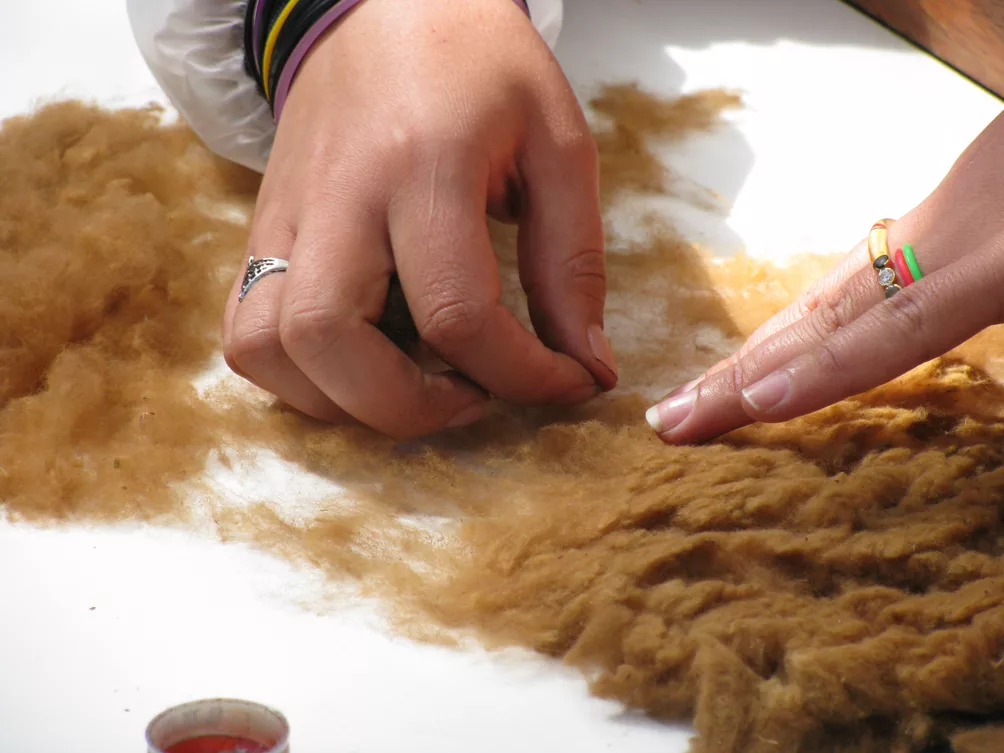 Изделия из шерстяных тканей. Куда можно сдавать шерсть. Шерсть овцы. Вещи на переработку. Стриженная овца.