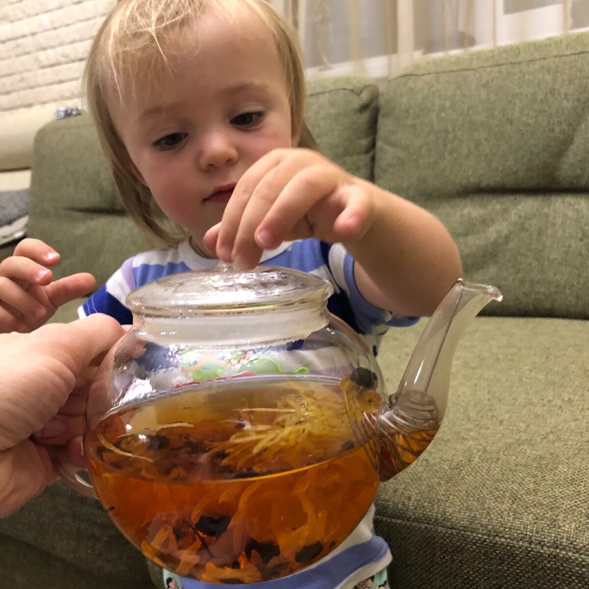 Хризантема очень красиво смотрится в прозрачном чайнике