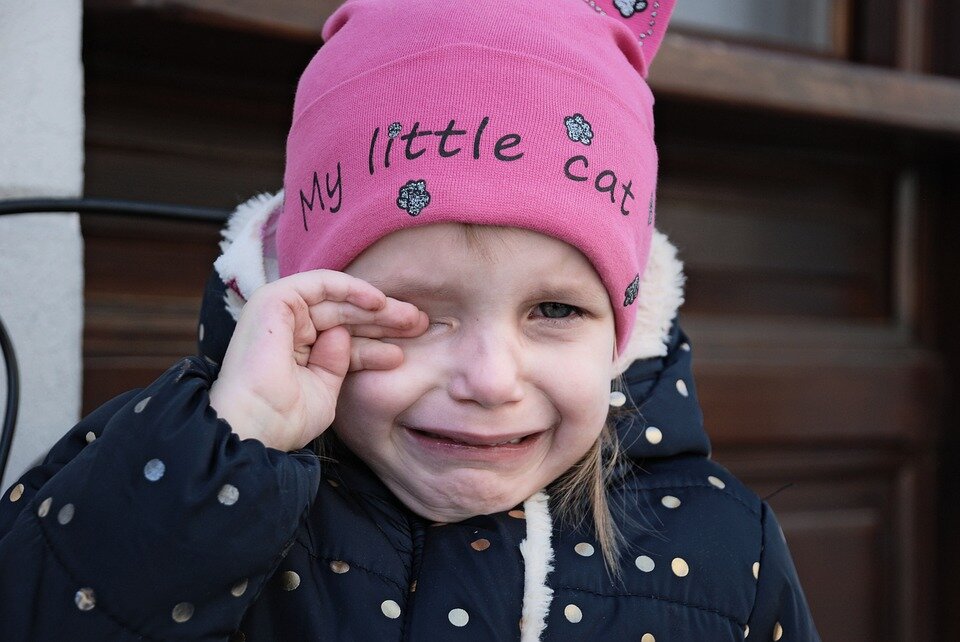 взято с https://pixabay.com