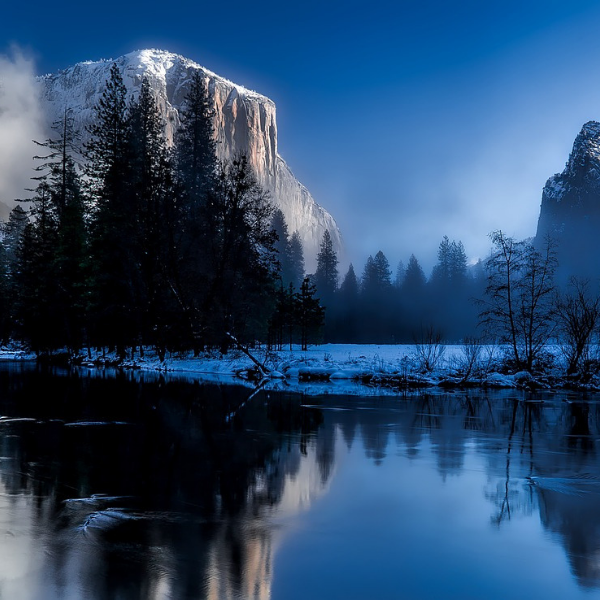 https://pixabay.com/ru/photos/%D0%BD%D0%B0%D1%86%D0%B8%D0%BE%D0%BD%D0%B0%D0%BB%D1%8C%D0%BD%D1%8B%D0%B9-%D0%BF%D0%B0%D1%80%D0%BA-%D0%B9%D0%B5%D0%BB%D0%BB%D0%BE%D1%83%D1%81%D1%82%D0%BE%D1%83%D0%BD-1581879/
