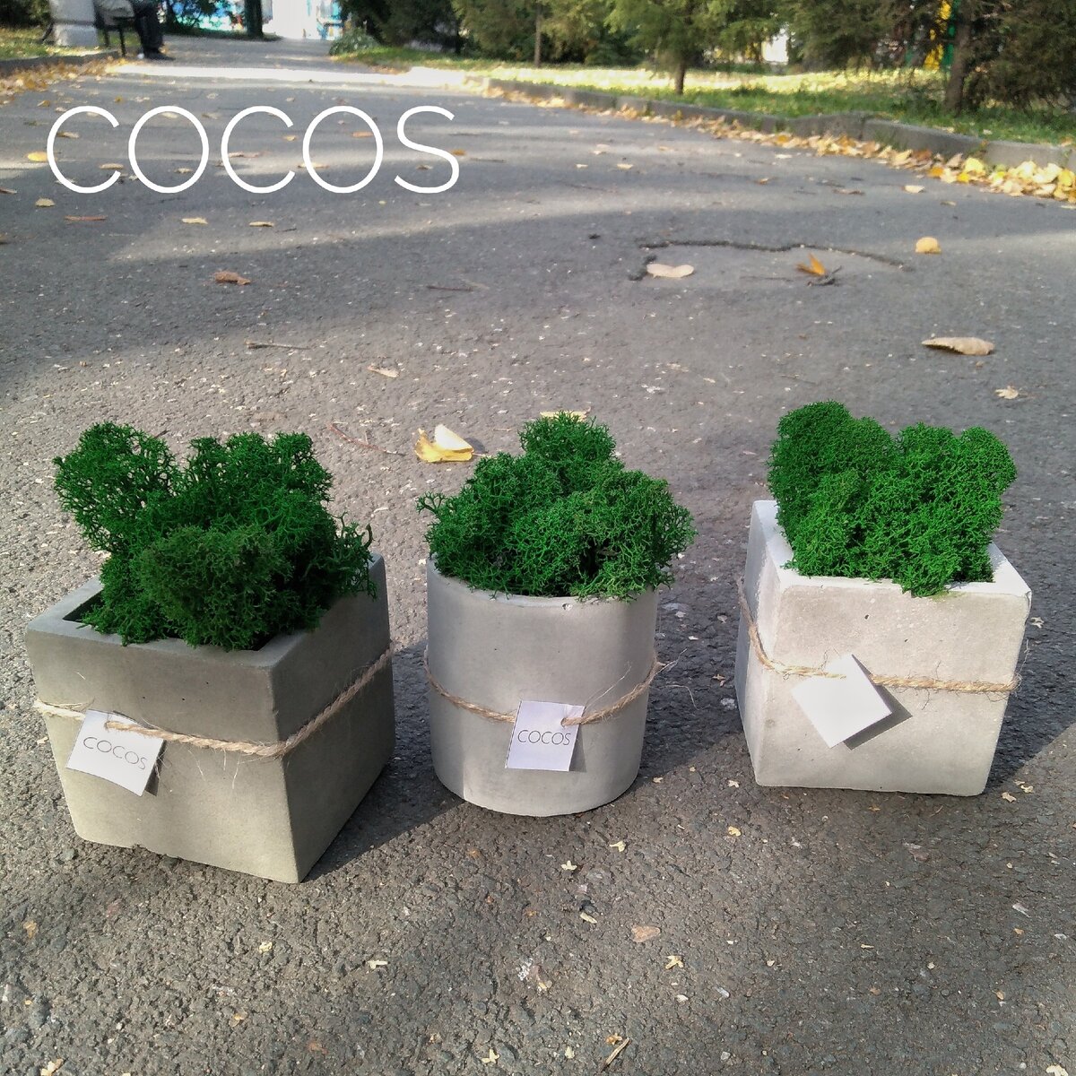 Кашпо из бетона