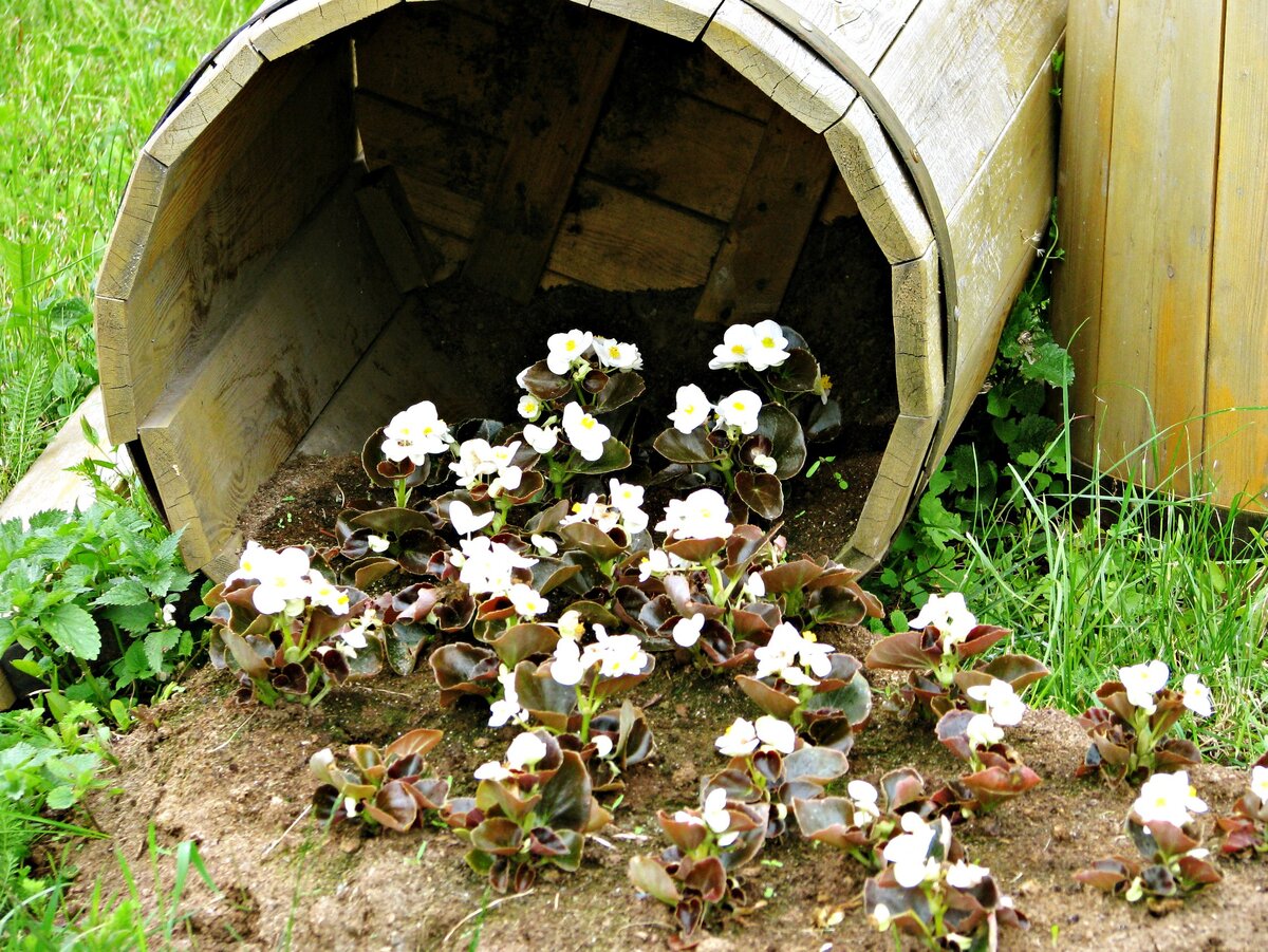 Павловский Посад. Фото Юлии Руденко.