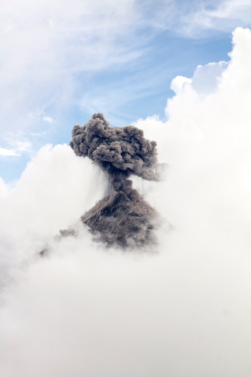 https://unsplash.com/photos/4D953R0aRUo