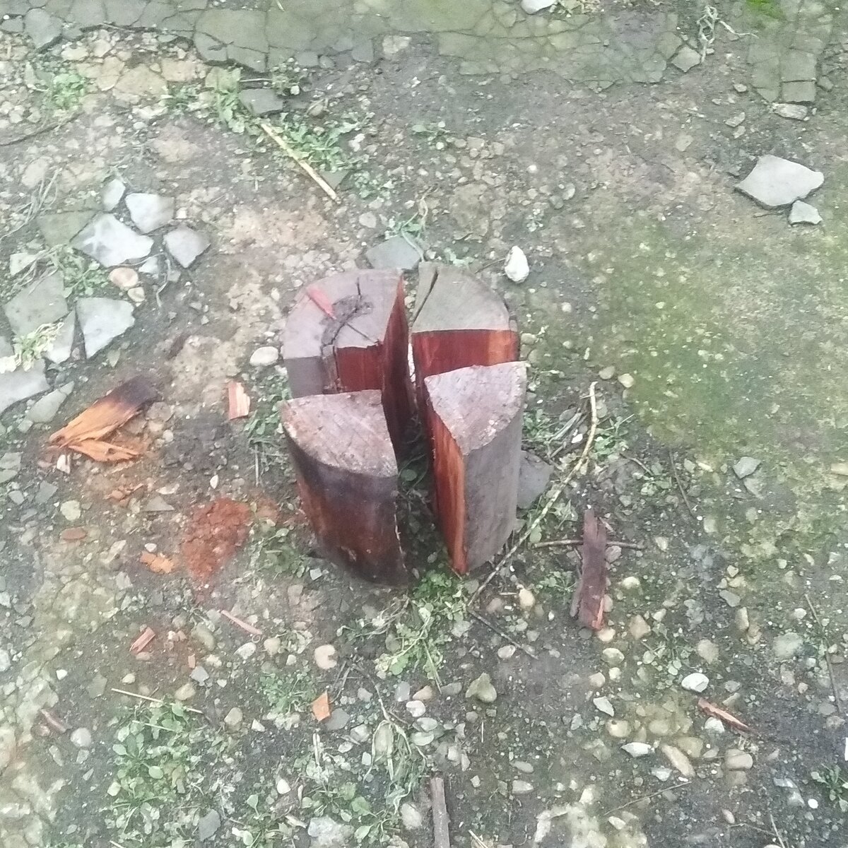 Вот почему топор на природе важнее ножа