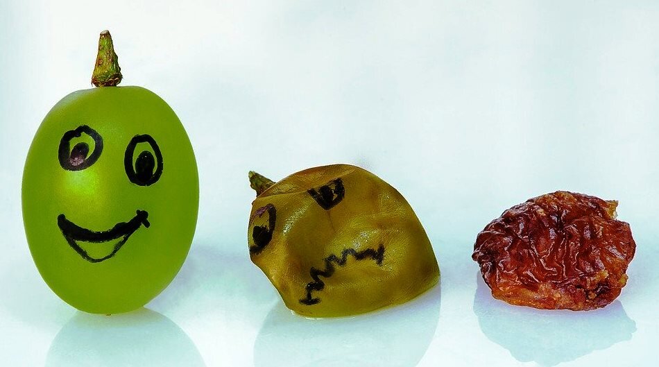 яндекс-картинки