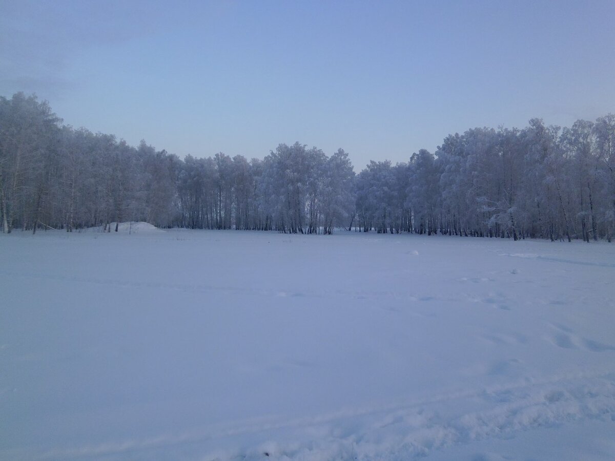 Вид моего огорода. За ним луга и лес. И не надо никакого родового поместья