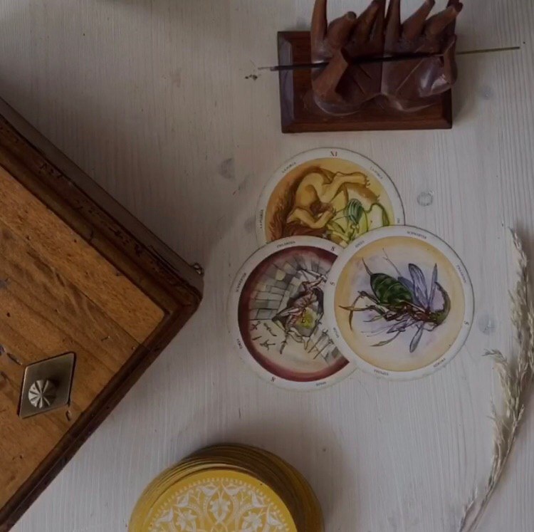 Источник: https://www.instagram.com/unimooon