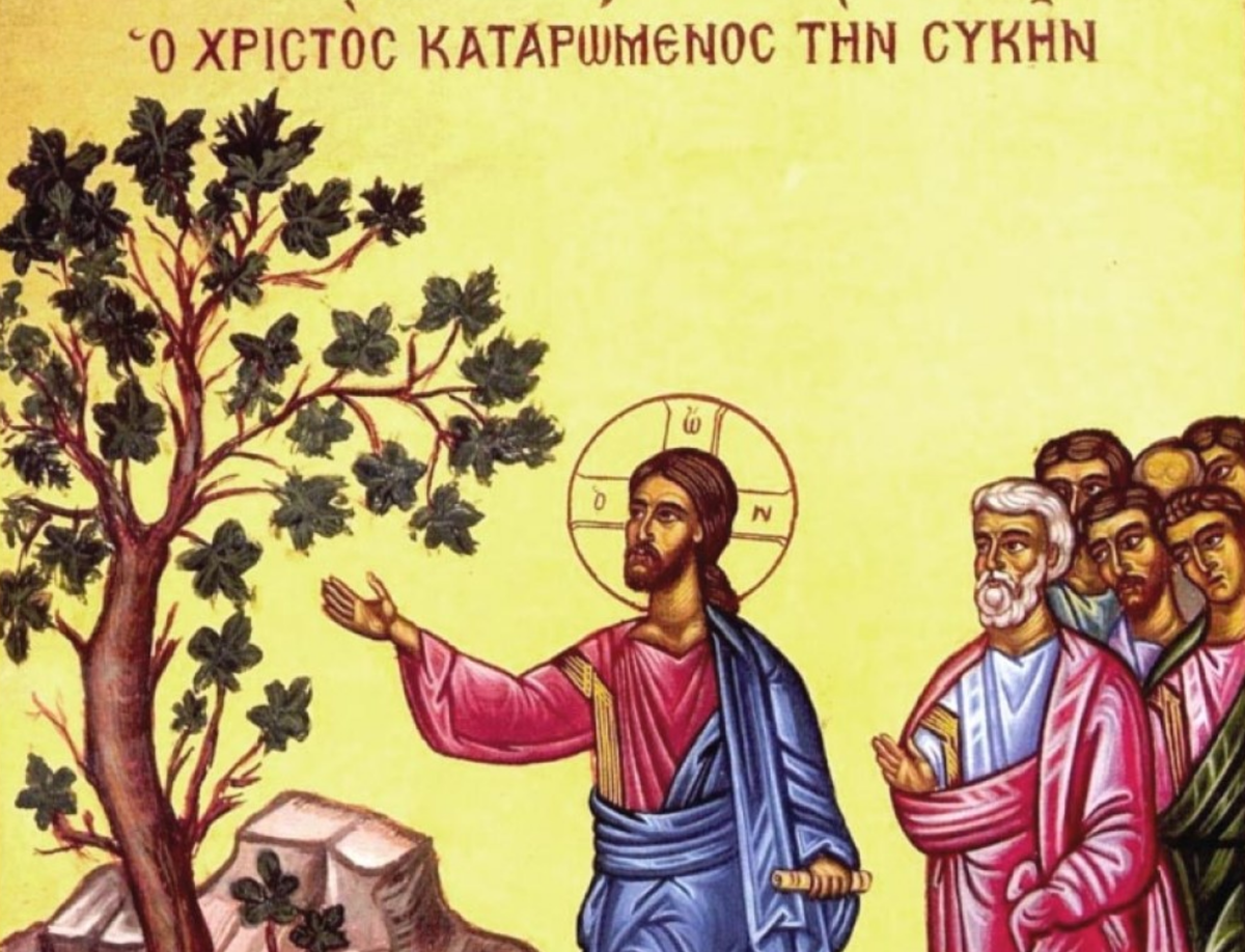 Источник: Яндекс