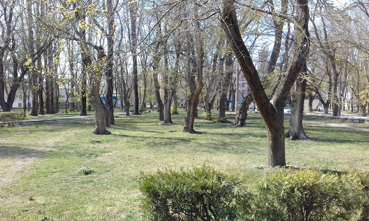 Парк Морсад.