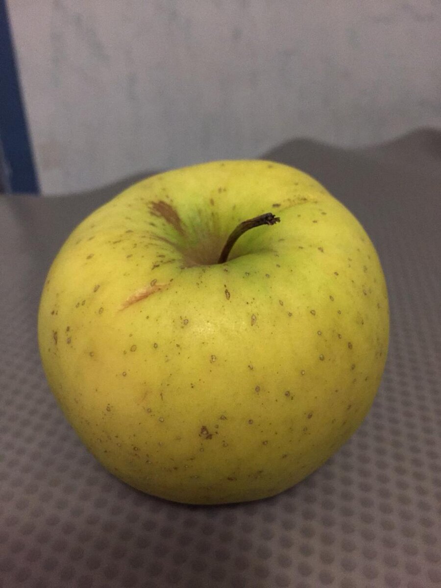 Фото айфон 6