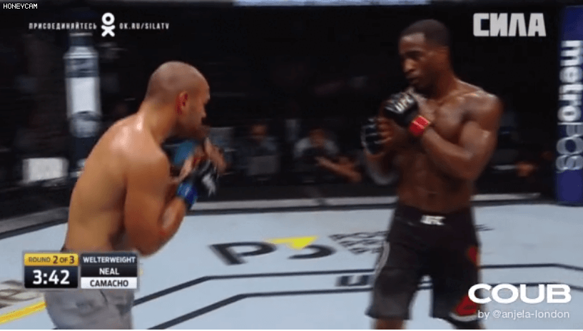 Нил против Камачо и Прайса (ТОП-15 UFC)