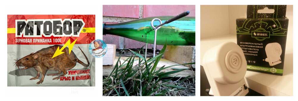 Виды борьбы с грузунами