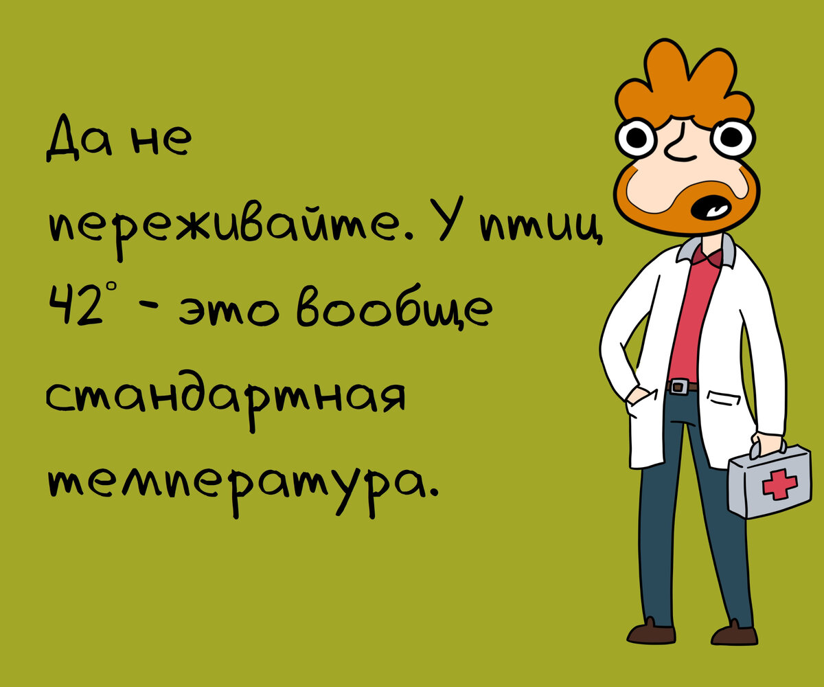 Стихи про студента, студентов, студенческие годы