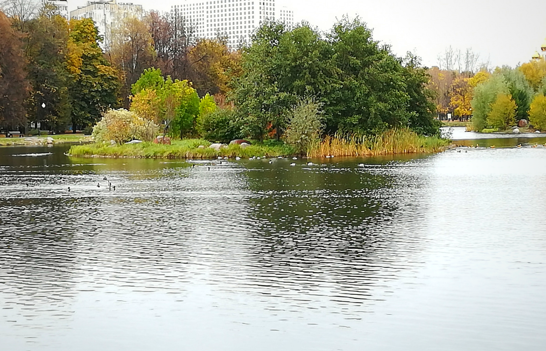 осень в парке