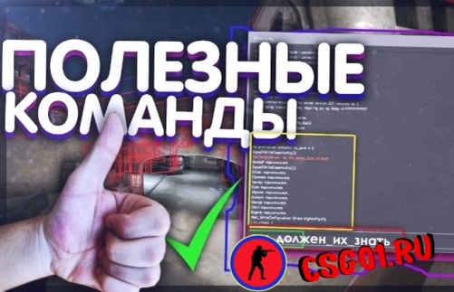 Барс - Сокол: прогнозы 14 февраля | СТАВКА TV