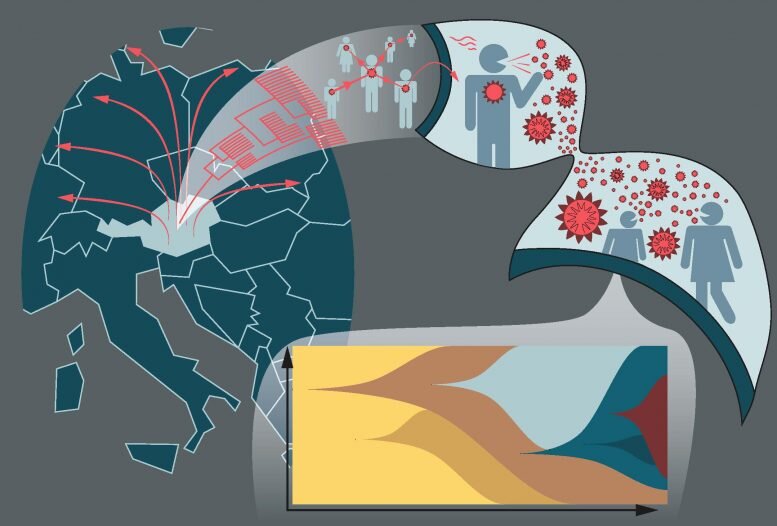 Австрийское исследование выявляет важные характеристики вируса: анализ кластеров инфекции и событий сверхраспространения в Австрии заложил основу для получения общей информации о свойствах передачи между людьми и мутации вируса у пациентов.