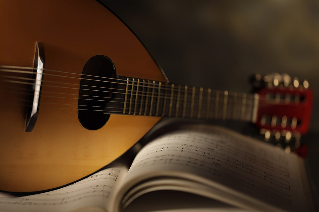 Фото взято из открытого источника  