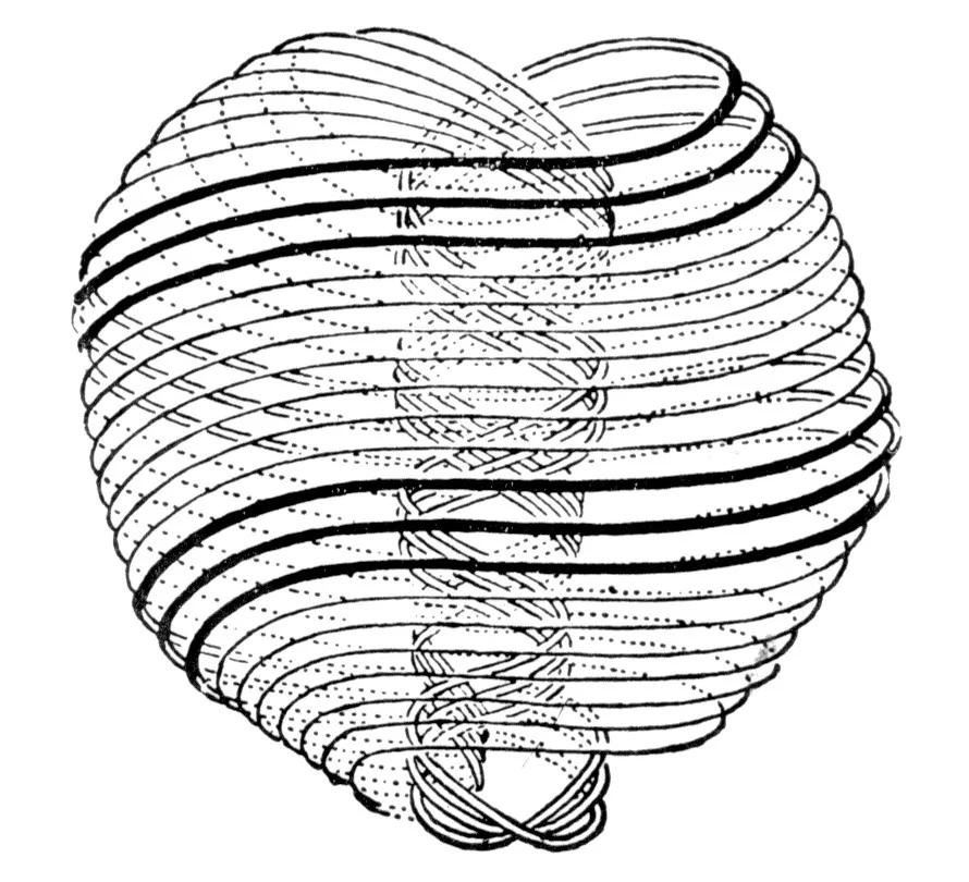 Субатомная частица