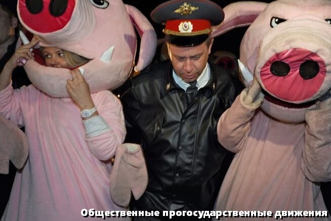Иногда они увлекаются свинством и тогда их слегка поправляют. Совсем слегка.