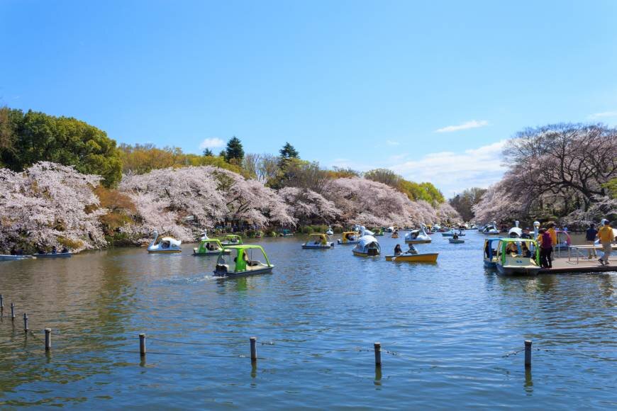 https://www.japantimes.co.jp