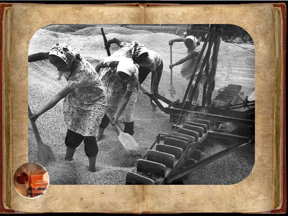 коллаж автора 