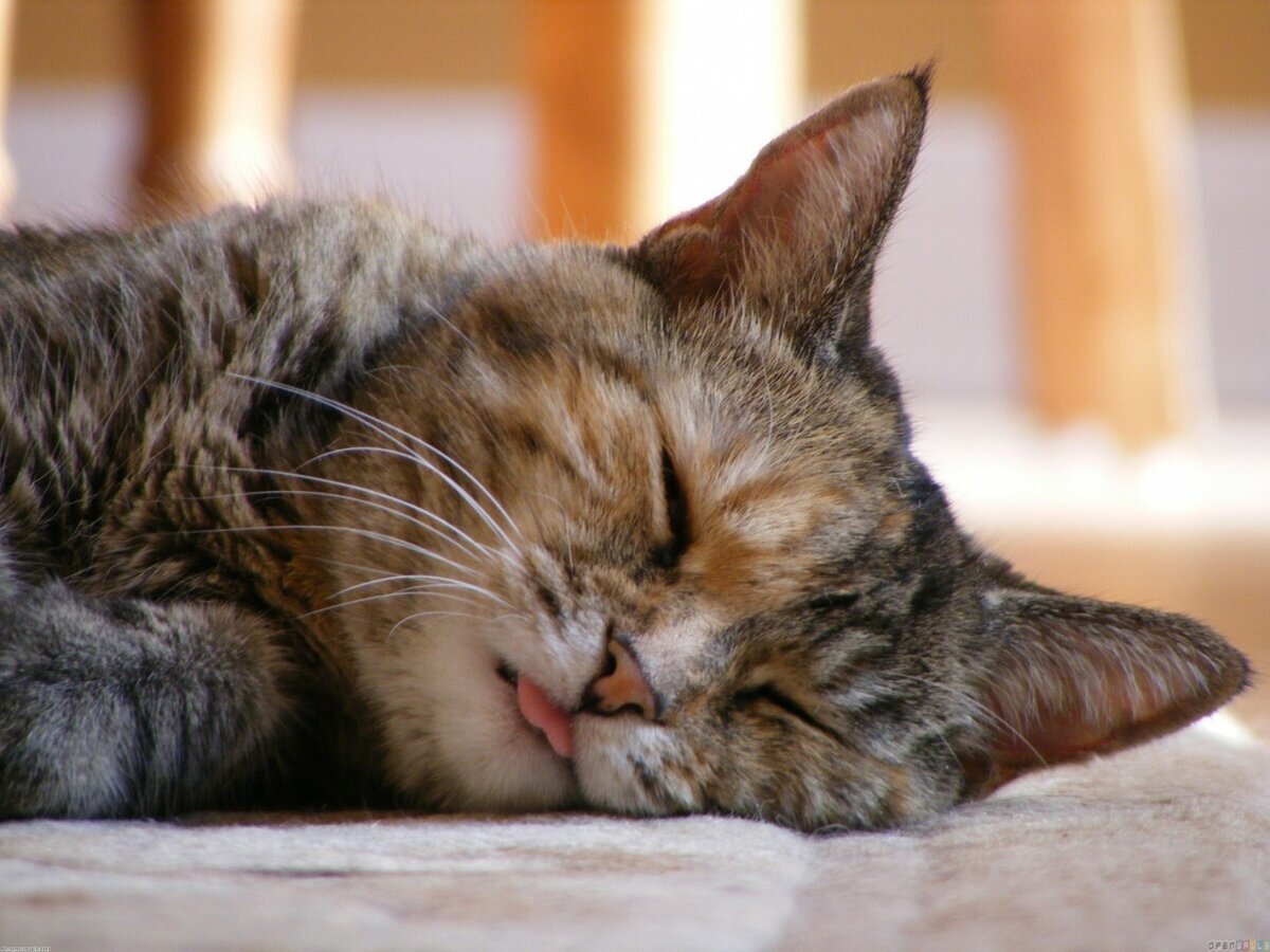 :3