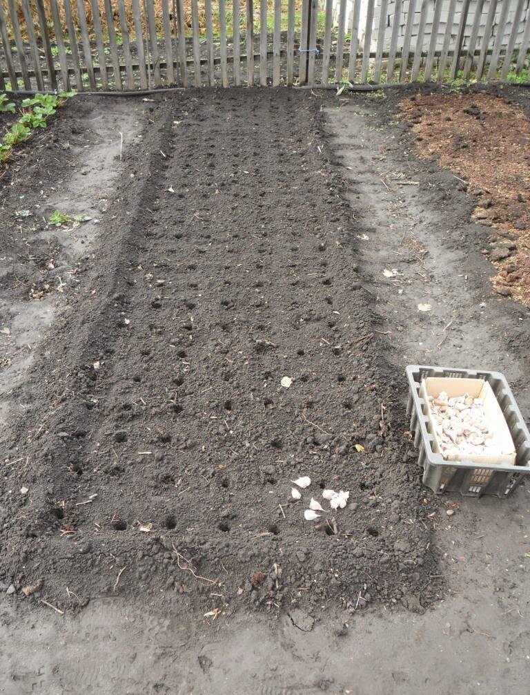 фото из открытого источника яндекс.картинки