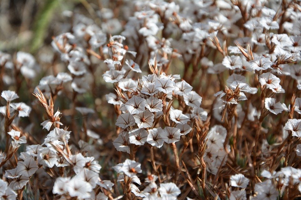 фото взято из открытых источников