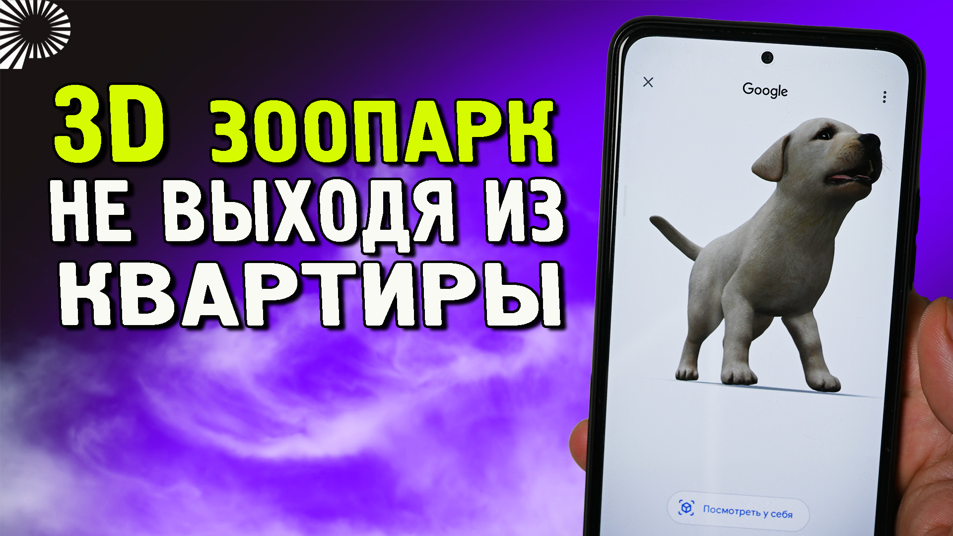 Животные в 3D у тебя в квартире. Как попасть в зоопарк не выходя из дома? 3D  реальность в твоем телефоне | Ромашка | Дзен