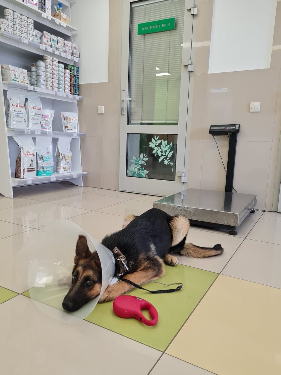 Фото из клиники