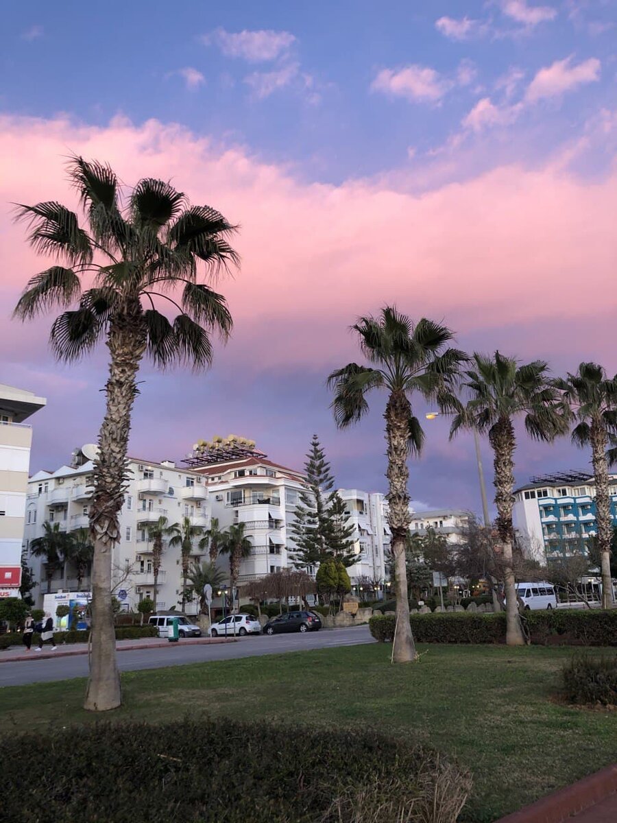 Мое утро начинается с пробежки